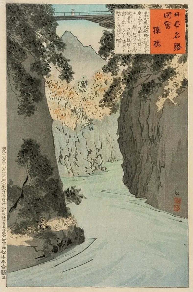 Monkey Bridge