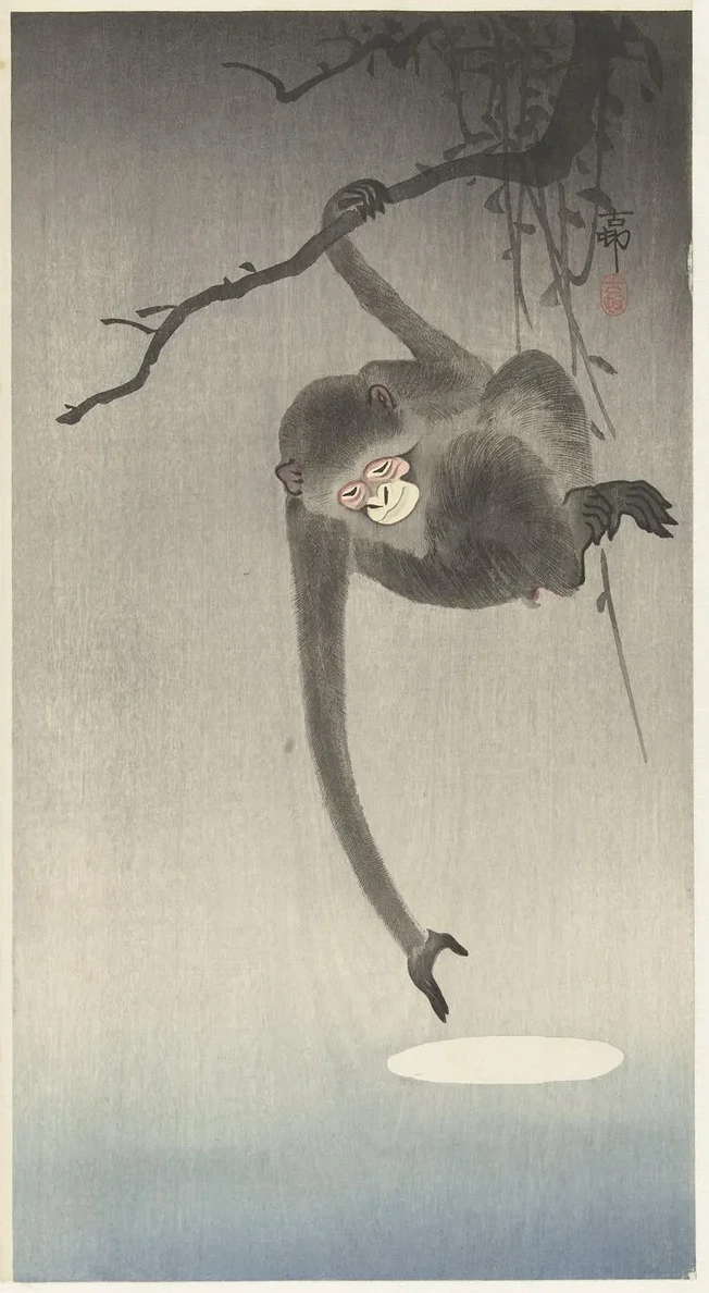 Monkey and Reflection of the Moon