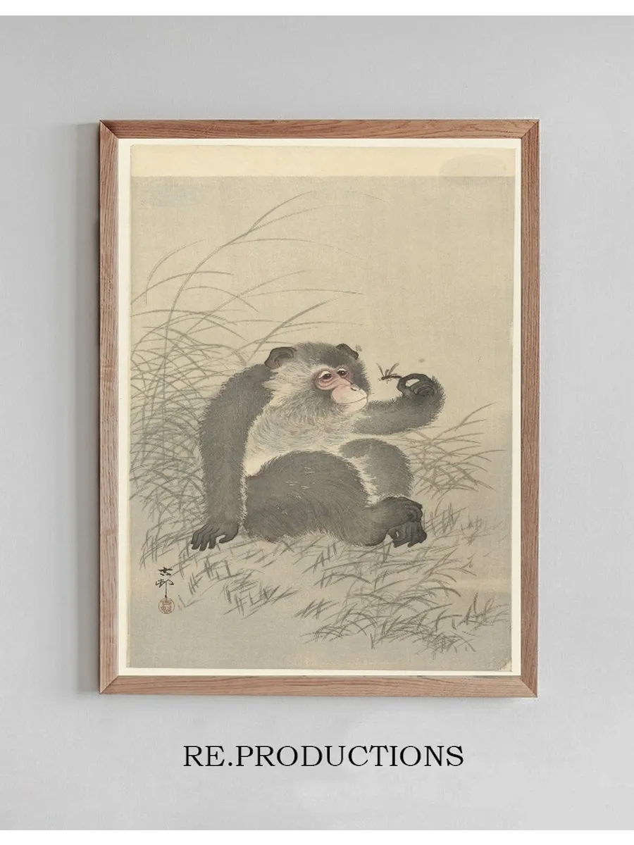 Monkey with Insect