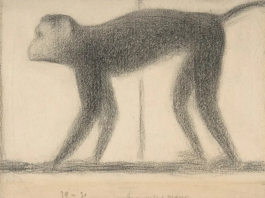 Monkey