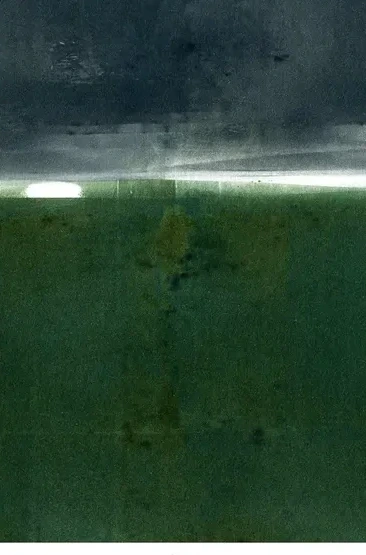 Monotype V