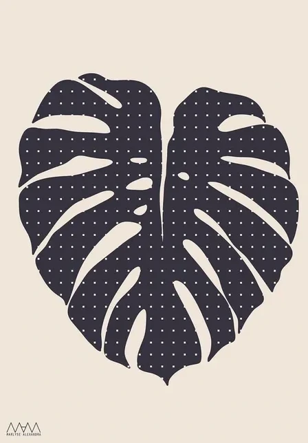 Monstera Black