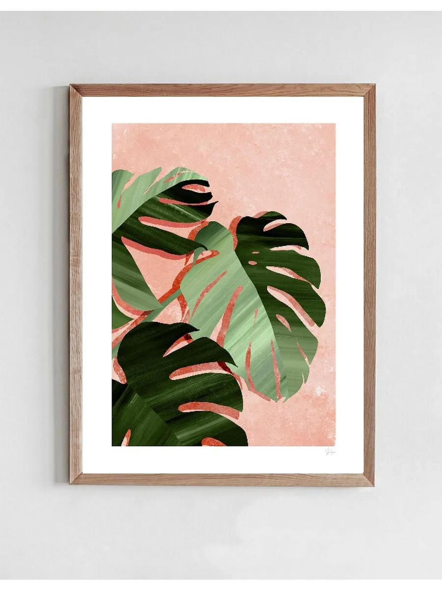 Monstera Leaves