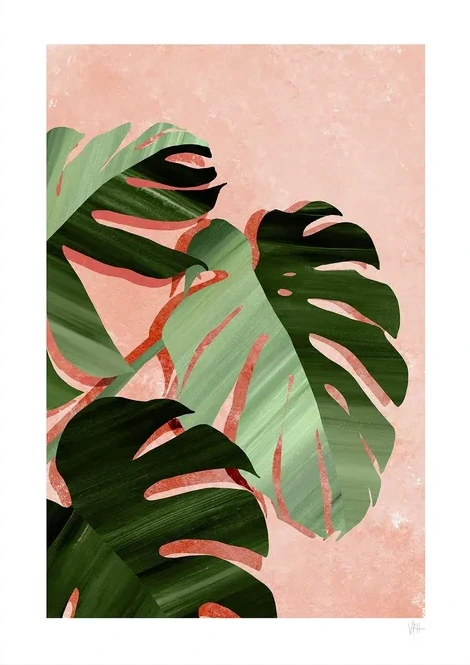 Monstera Leaves
