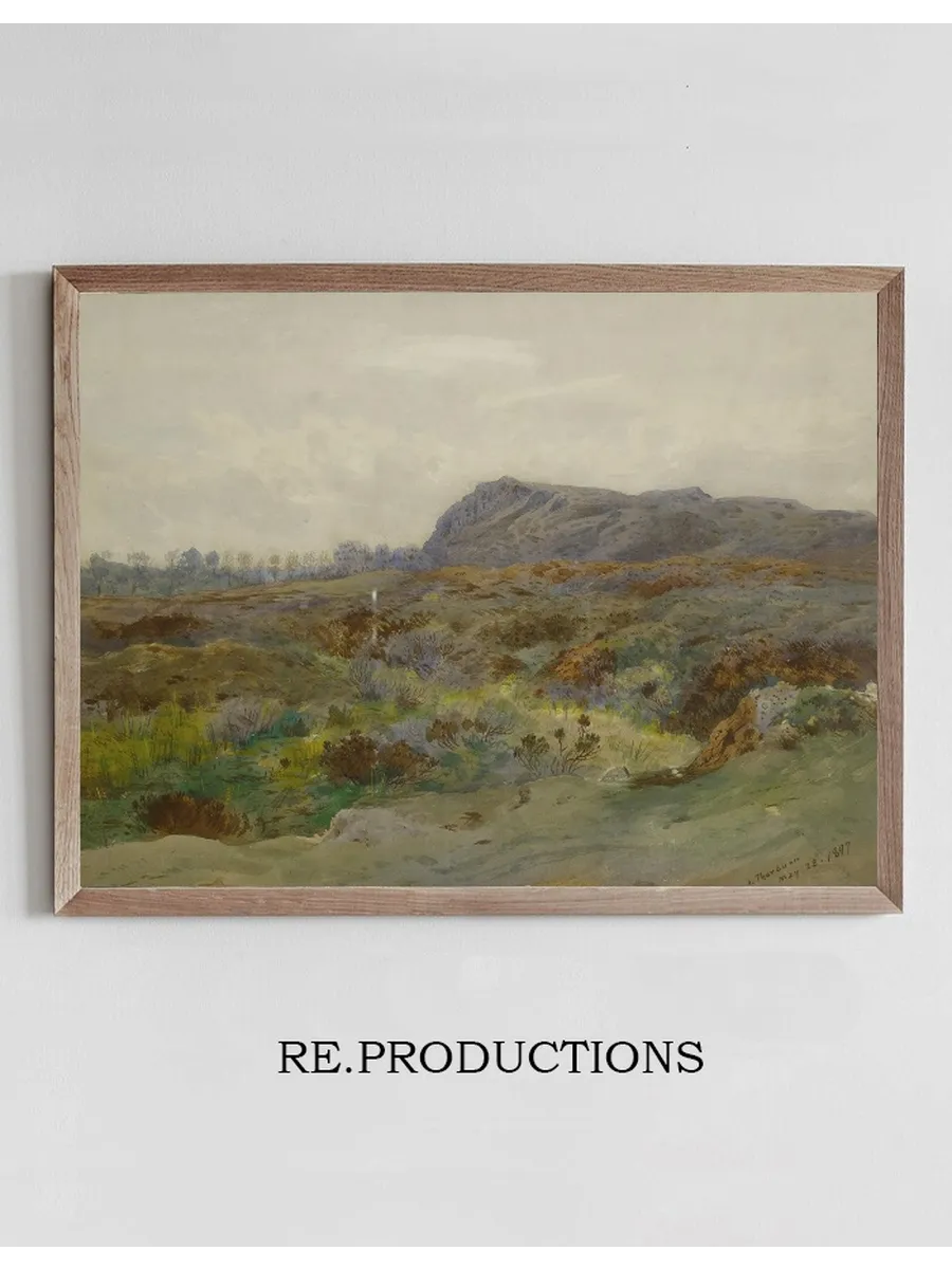 Moorland Landscape