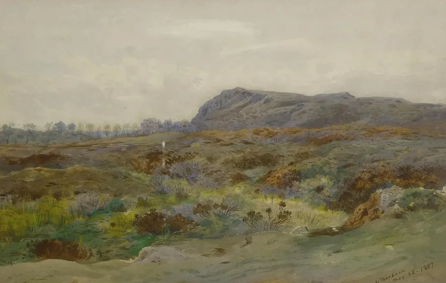 Moorland Landscape