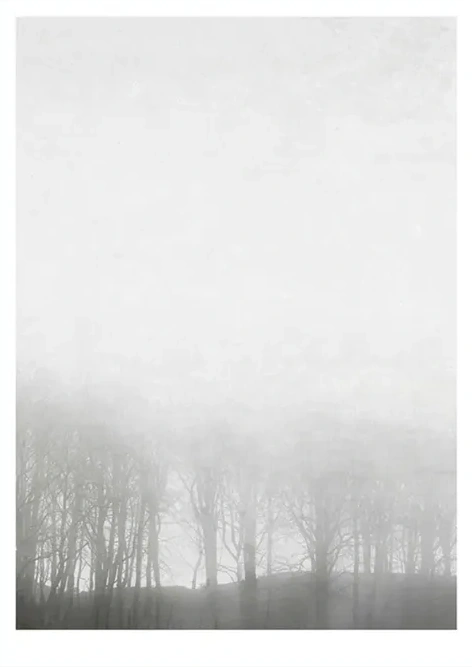 Morning Fog