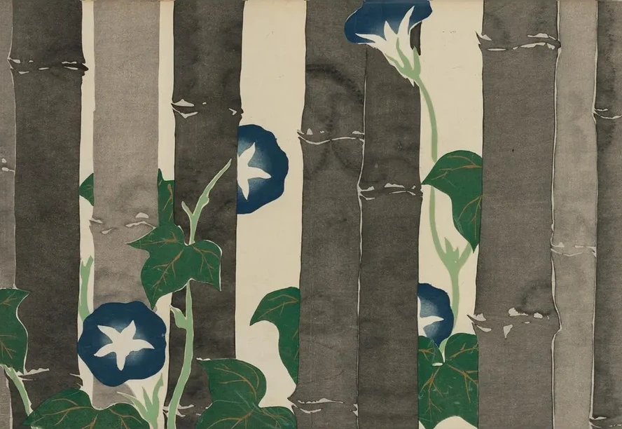 Morning Glories (Asagao)