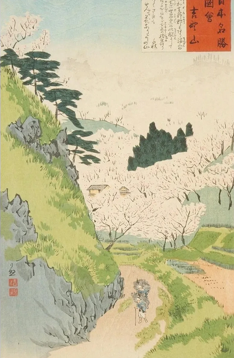 Mount Yoshino, Cherry Blossoms