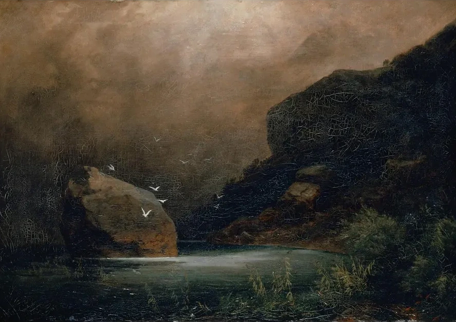 Mountain Lake With Seagulls