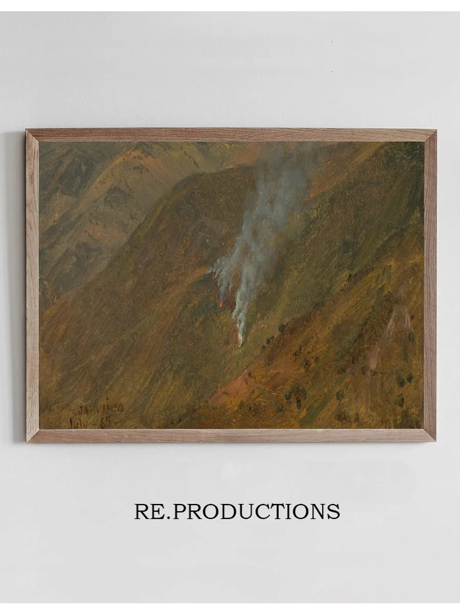 Mountainside with Brush - Fire