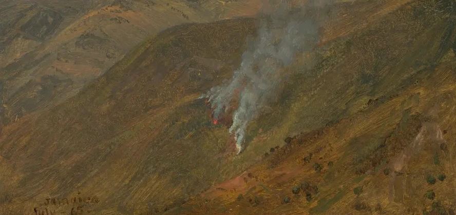 Mountainside with Brush - Fire