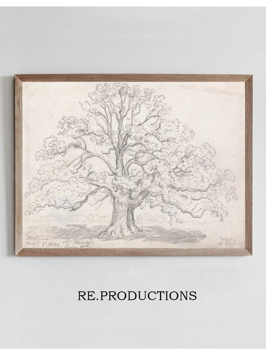 Mr. Howard's Large Oak, August 5, 1820