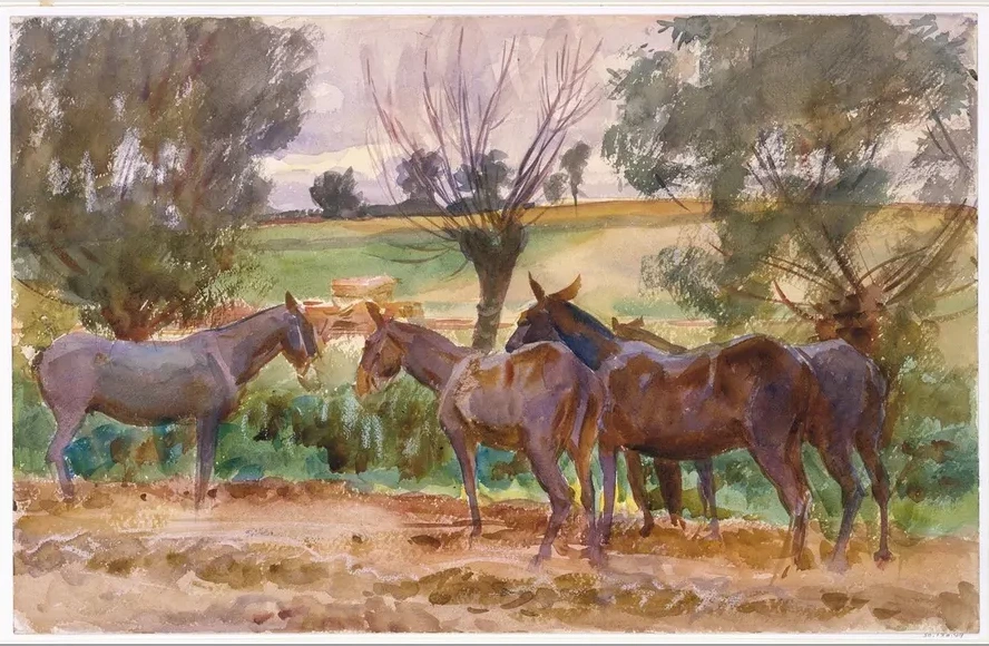 Mules