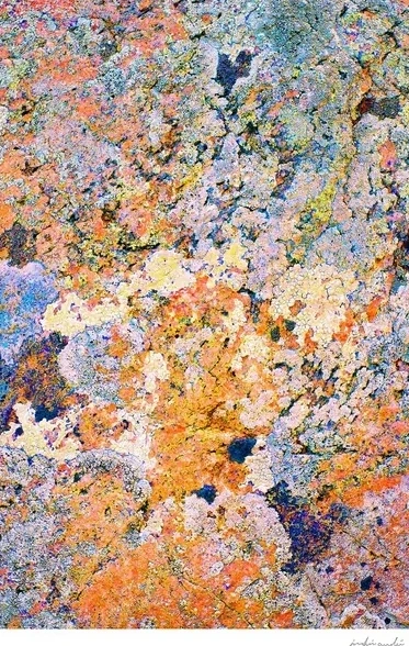 Multi Stone Structure