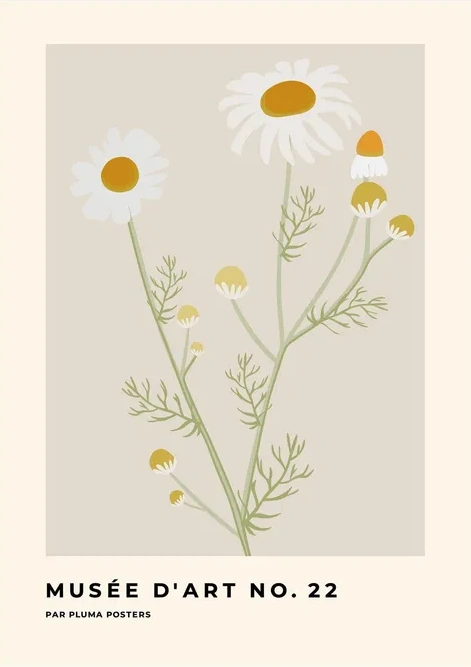 Mus e D'Art No. 21