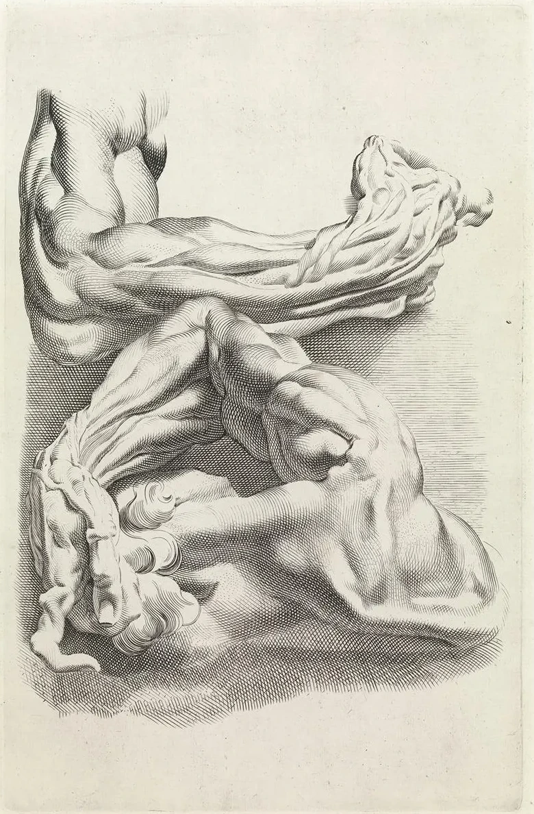 Muscles
