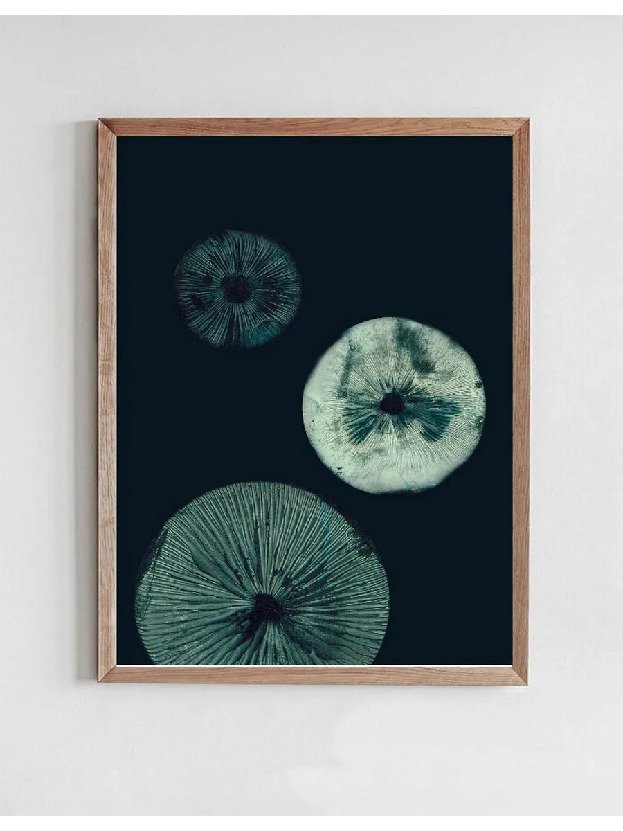 Mushroom - 1 Dark Teal