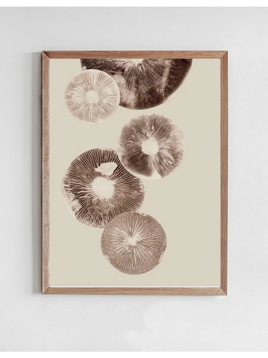 Mushroom - 6 Cream