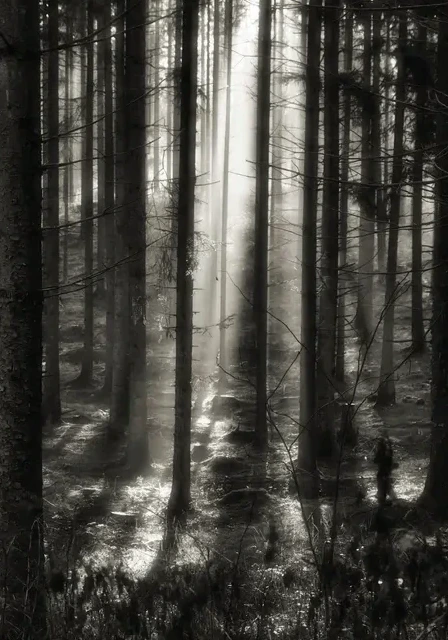 Mysterious