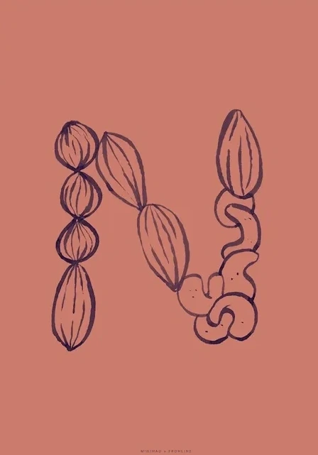 N - Terracotta