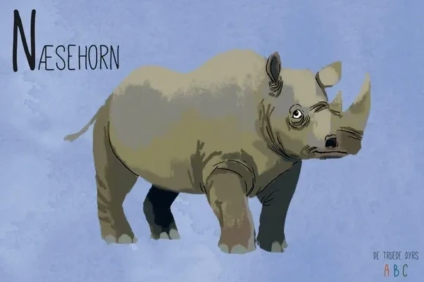 N Sehorn