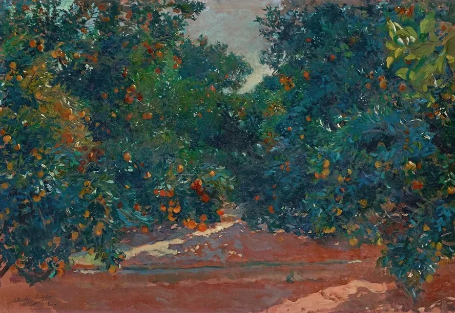 Naranjos De Alcira