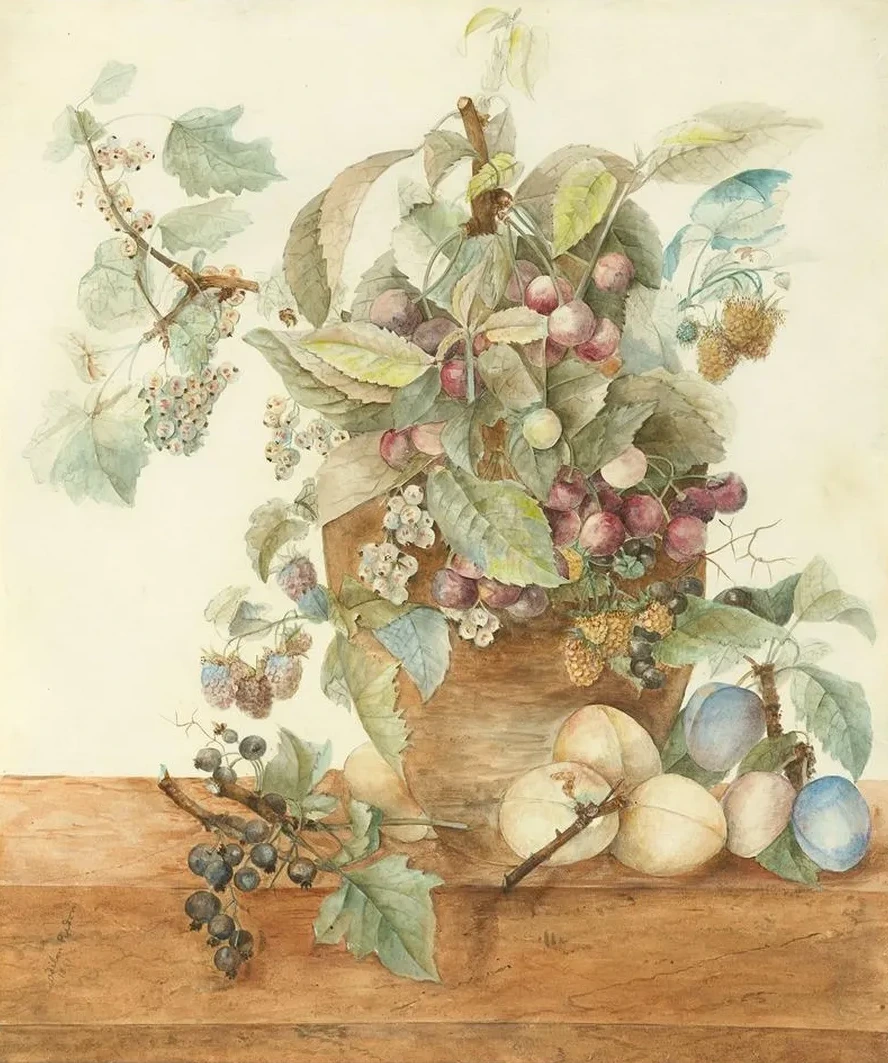 Nature Morte