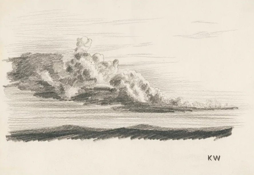 Naturstudie XXIV
