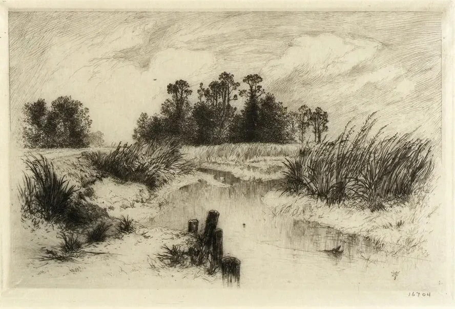 Near Easthampton, L.I. (Passaic Meadows)