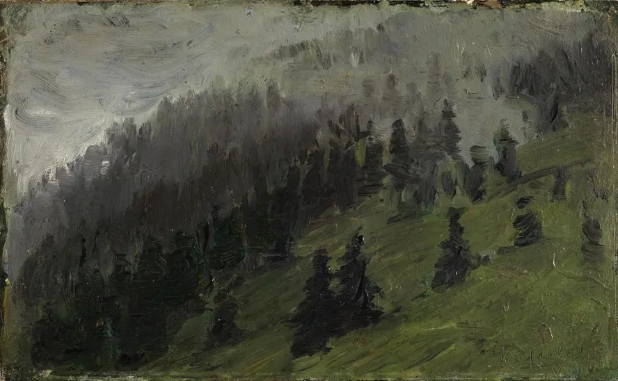 Nebel Zwischen Tannen