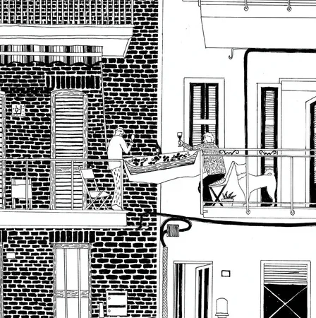 Neighbour