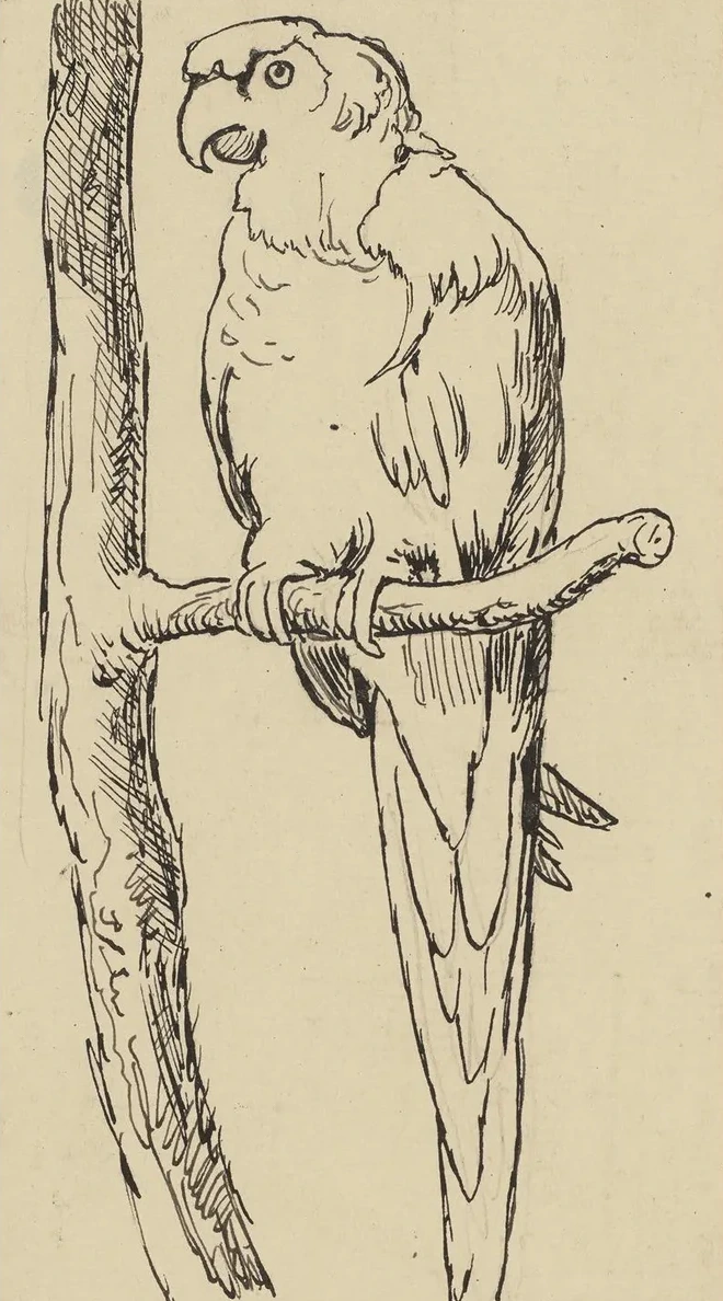 Nest