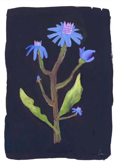 Night Flower