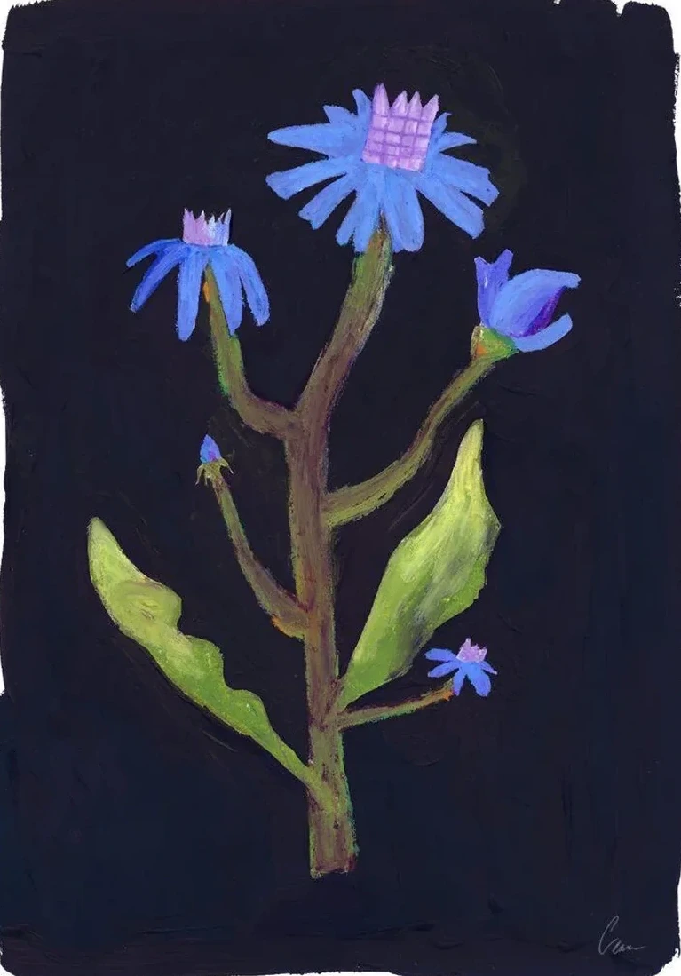 Night Flower
