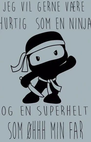 Ninja 2