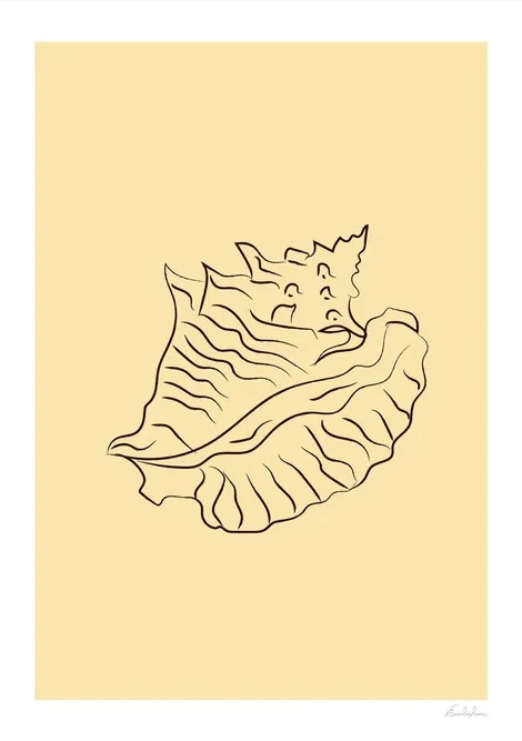 No22