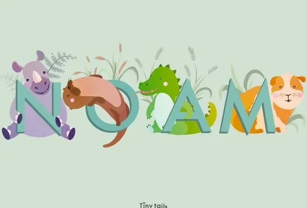 Noam - Bl