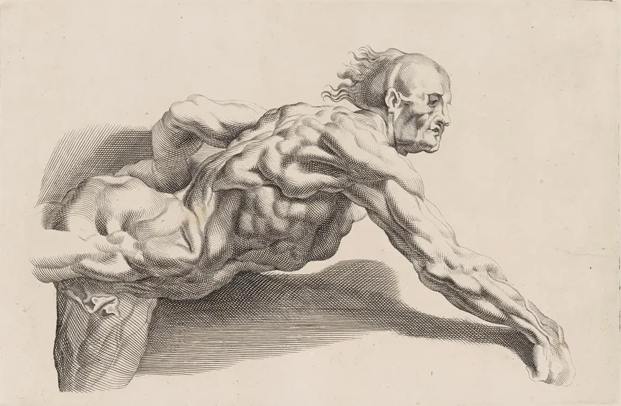 Nude Study