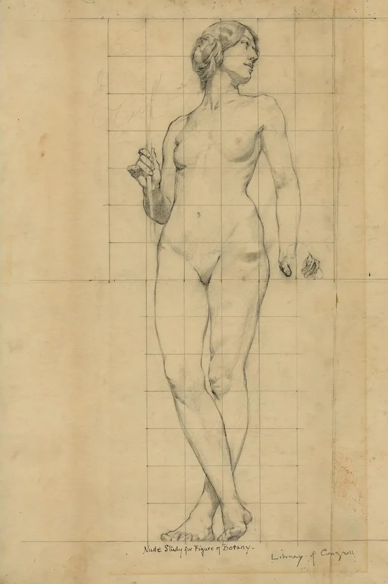 Nude Study for Figure of Botany