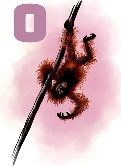 O Pink Orangutang