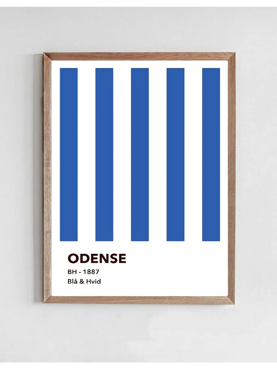 Odense - BL & HVID
