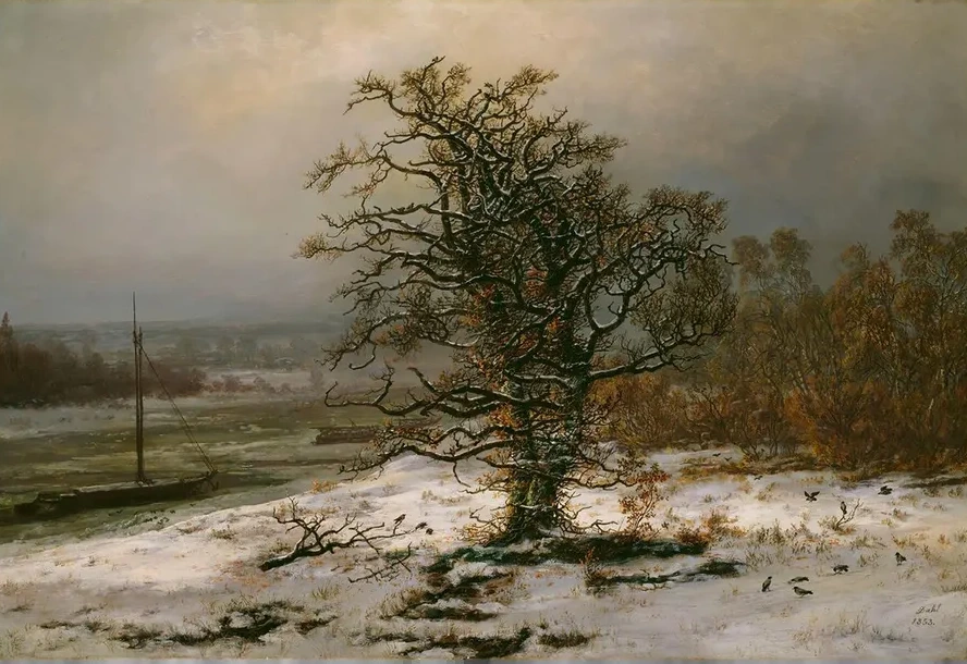 Oak Tree by the Elbe in Winter