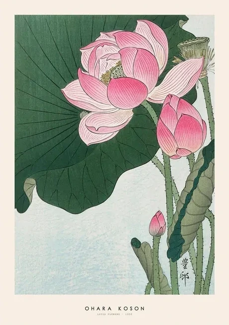Ohara Koson - Lotus flowers