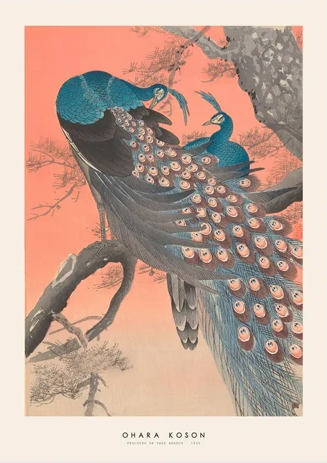 Ohara Koson - Peacock on Tree Branch