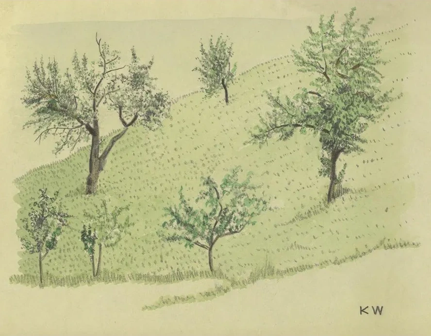 Ohne Titel (Laubb ume auf H gel)