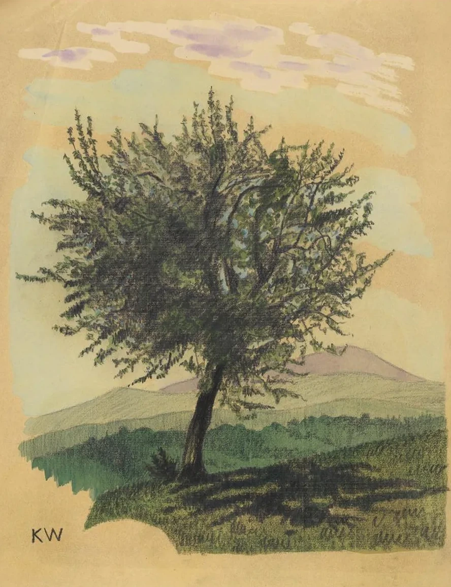 Ohne Titel (Laubbaum in Landschaft)