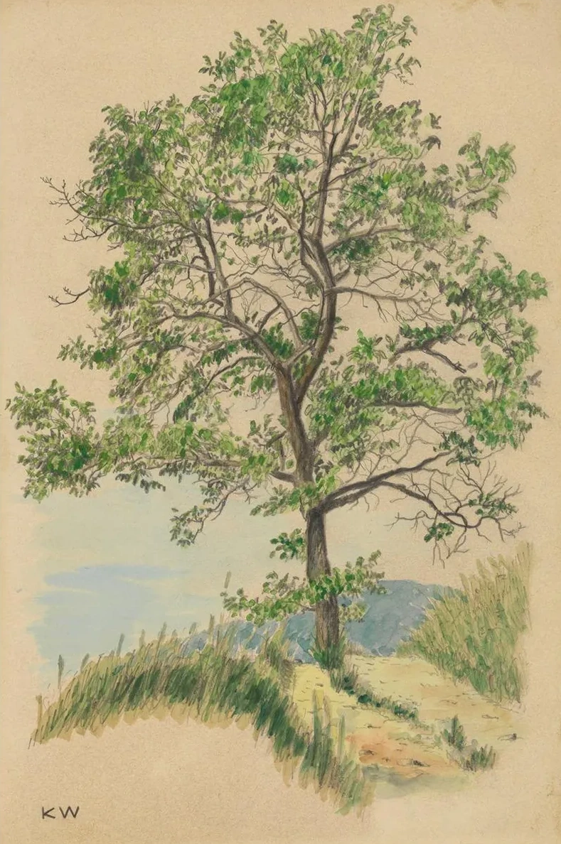 Ohne Titel (Laubbaum und Weg)