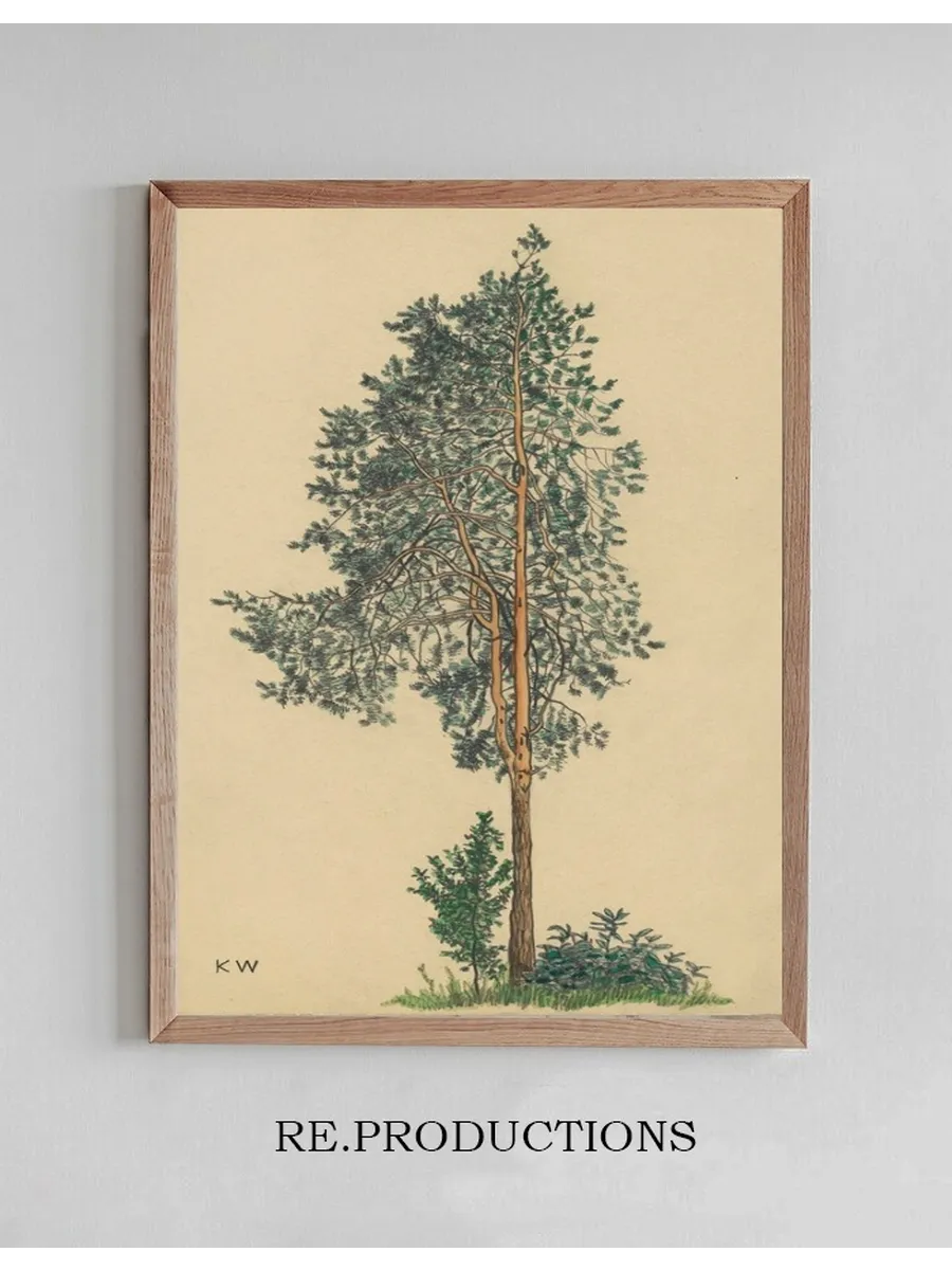 Ohne Titel (Nadelbaum) I