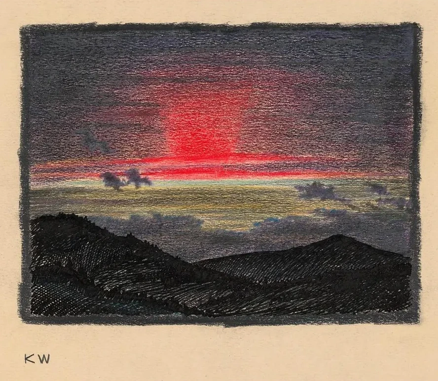 Ohne Titel (Naturstudie) II